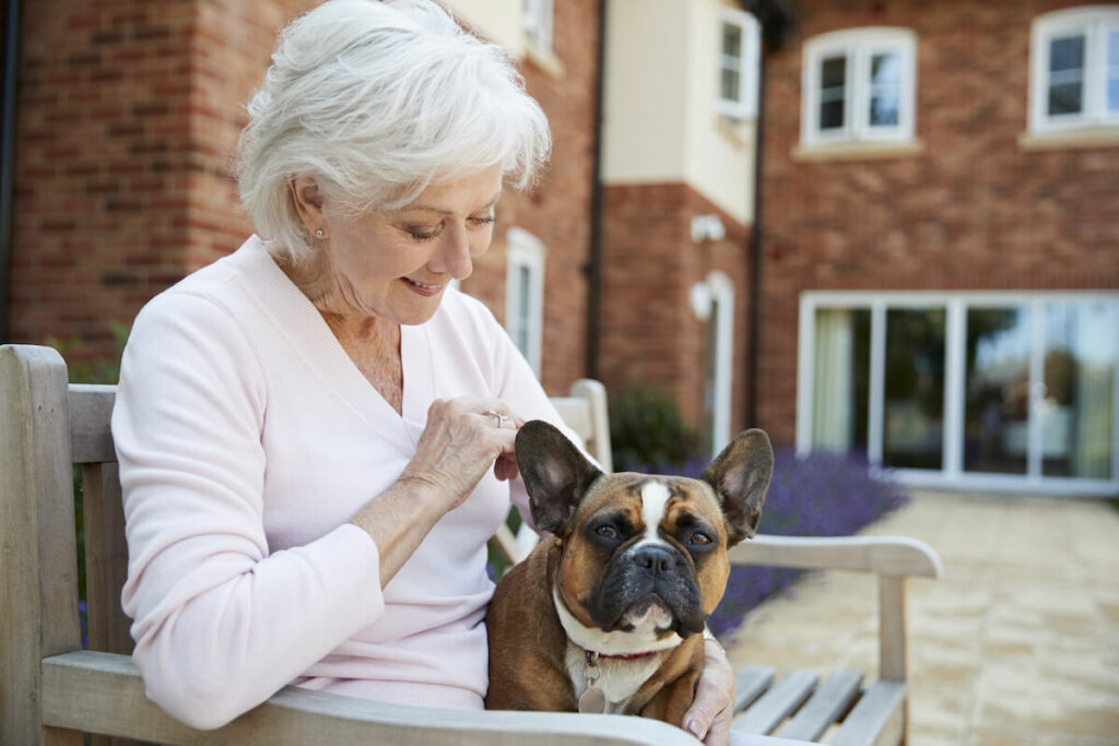 Senior woman interacting with a dog outdoors