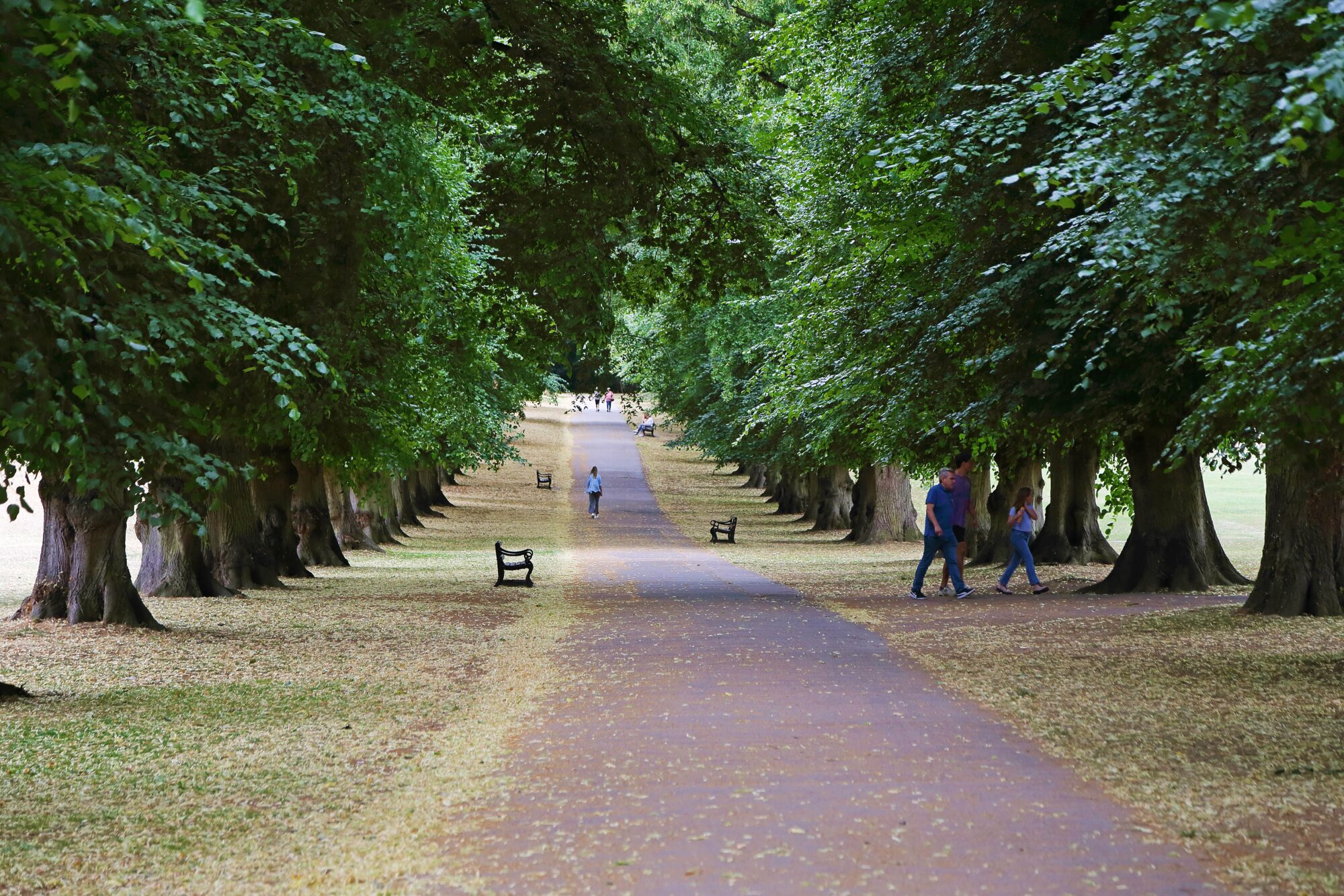 Redclyffe Place