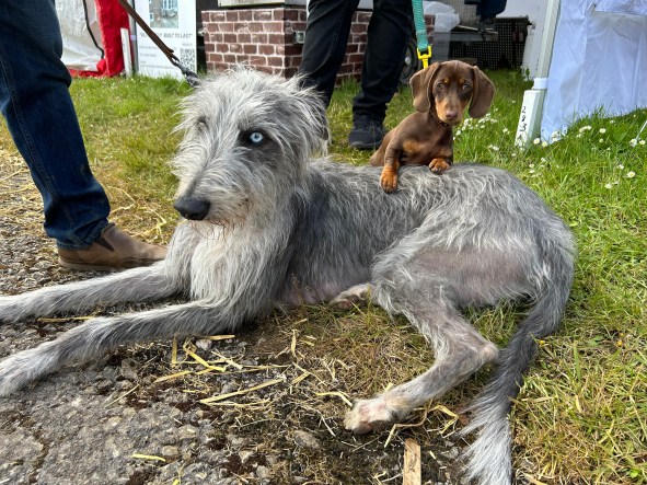 Mumby’s Live-in Care Berkshire