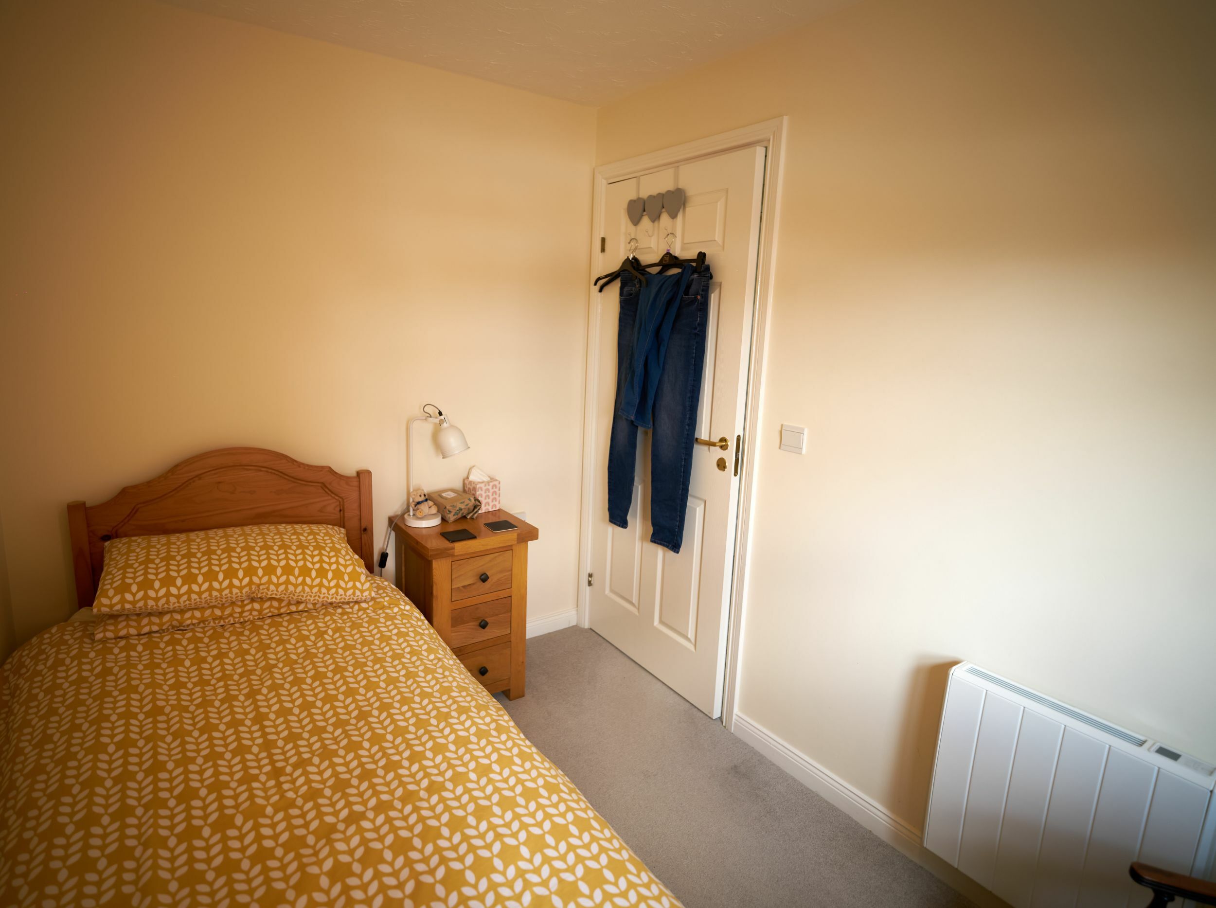Cozy bedroom with a bed and a closet door