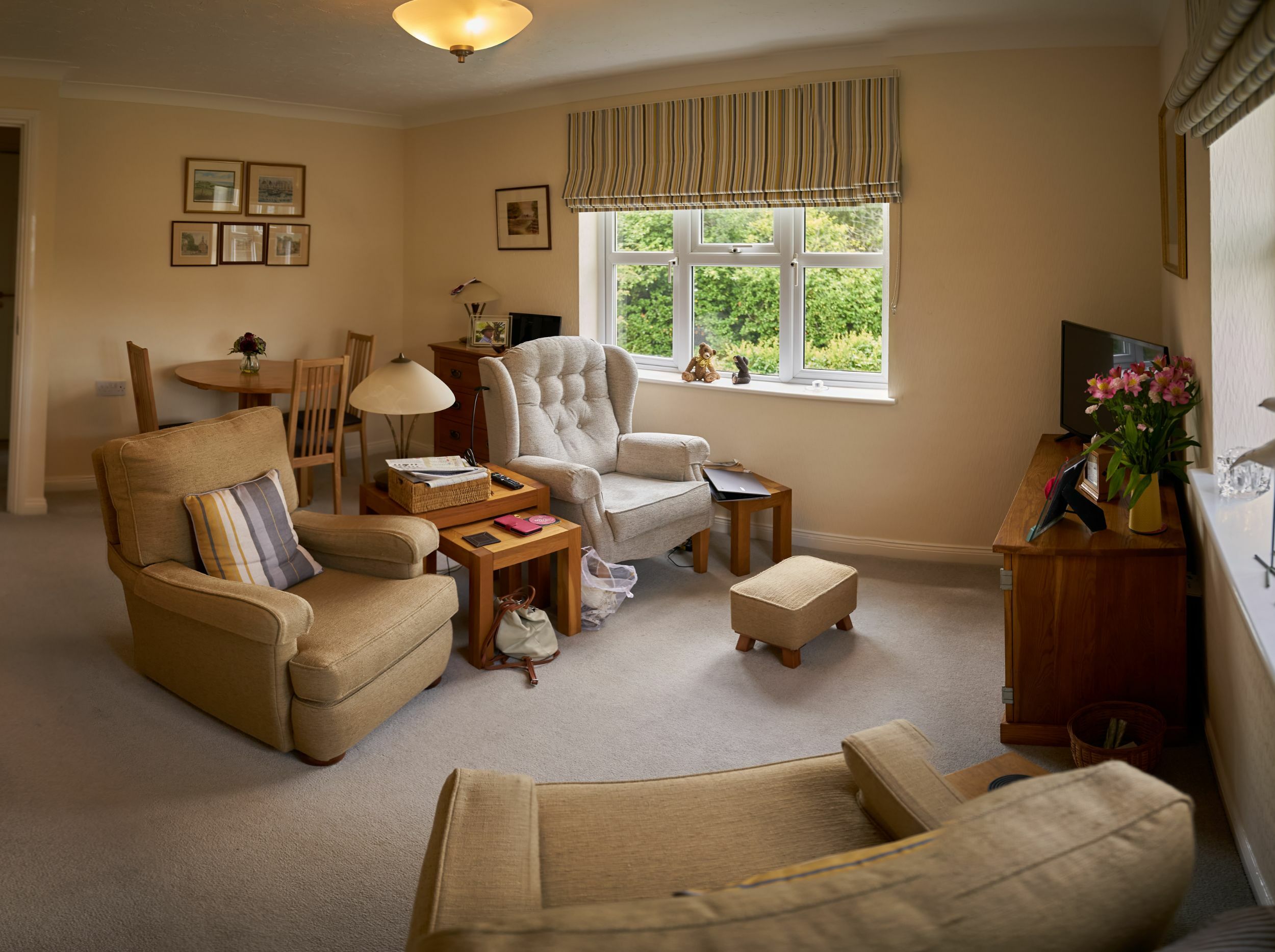 Cozy living room with comfortable furniture