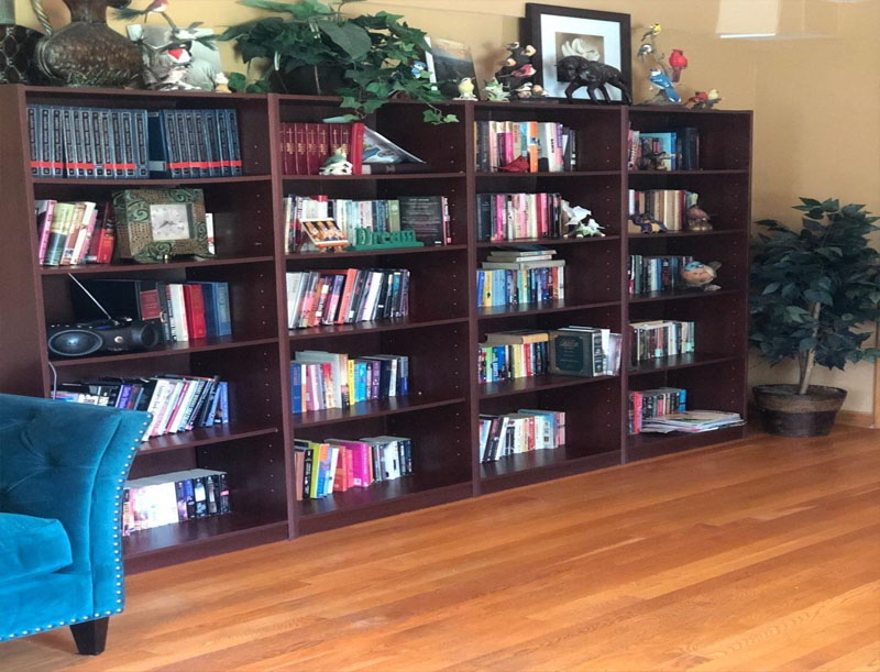 Interior view of a bookshelf in a living area