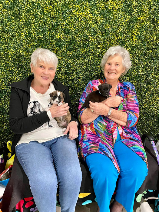 Two residents holding puppies in a colorful setting