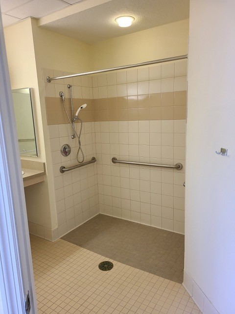 Accessible bathroom with grab bars and shower