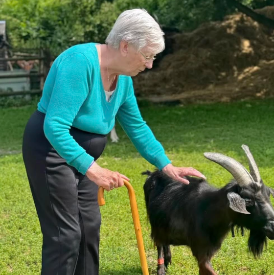 Senior interacting with a goat in a garden.