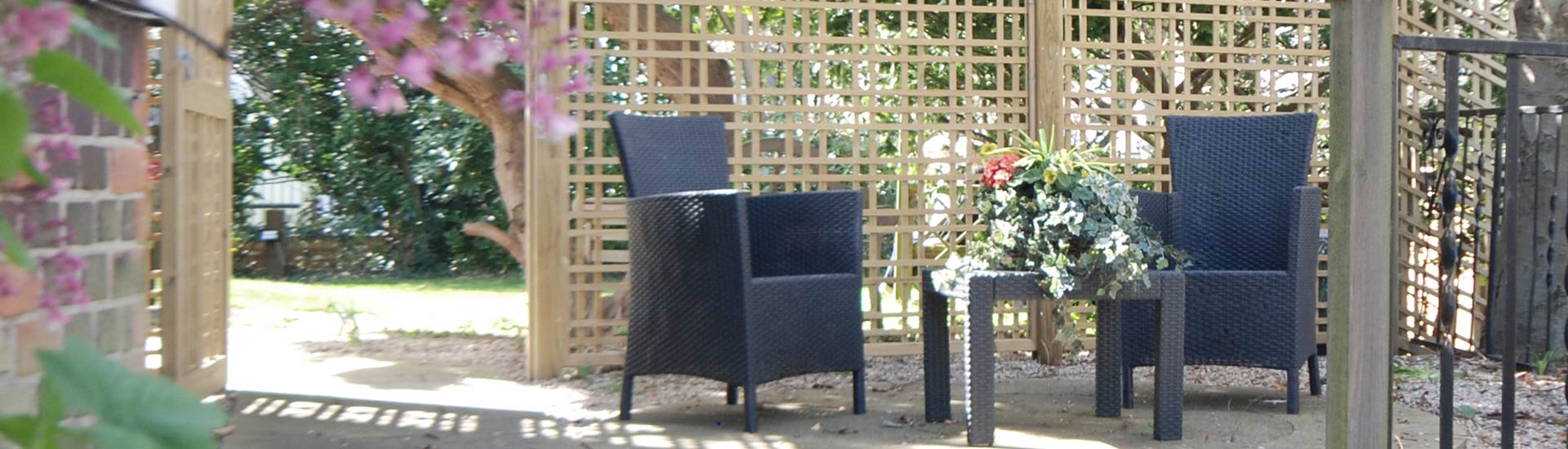 Outdoor seating area with chairs and plants