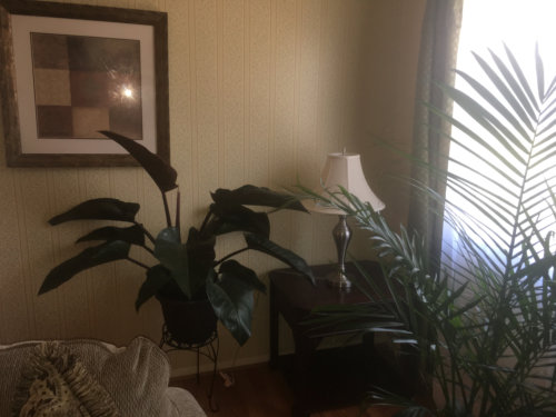 Ameristar Assisted Living, Inc. III