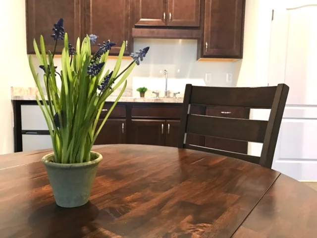 Indoor dining table with decorative plant.