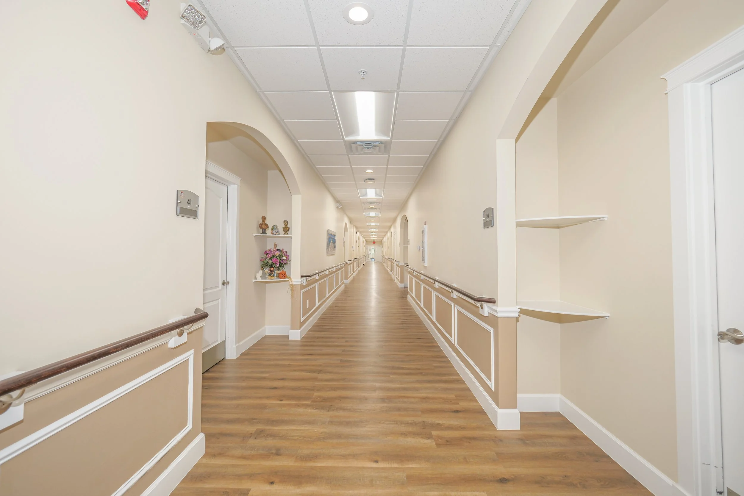 Bright hallway with wooden flooring and decorations