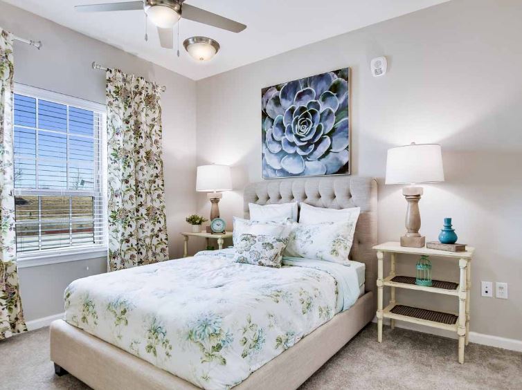 1 Bed
