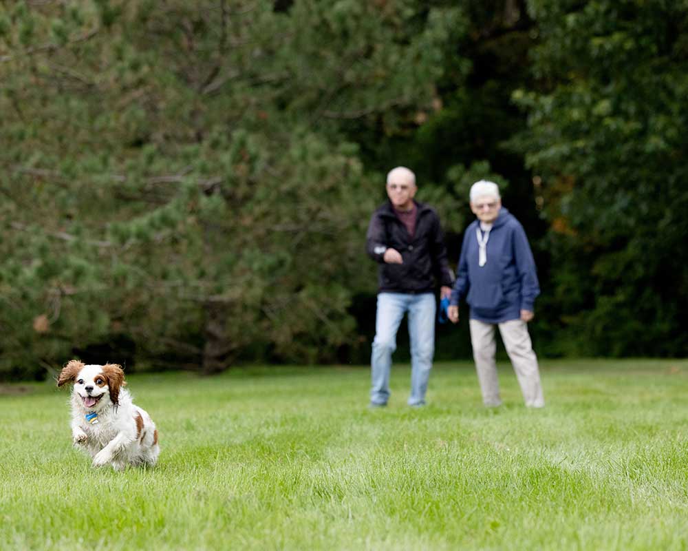 Seniors enjoying time outdoors with a dog