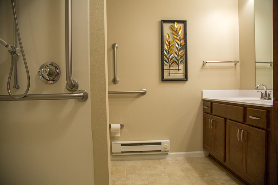 Accessible bathroom with grab bars and art