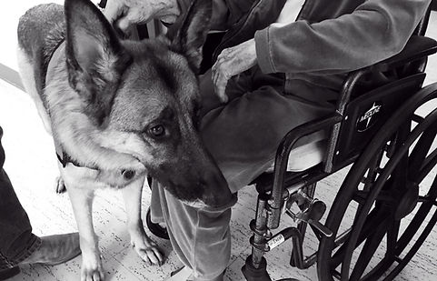 A resident in a wheelchair with a service dog