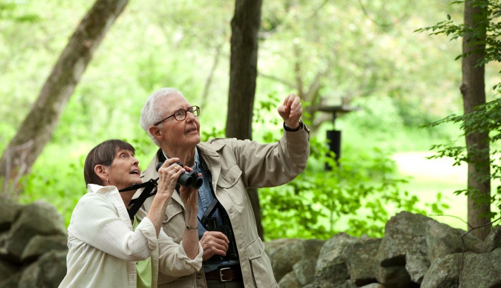 Seniors enjoying nature and pointing out sights.