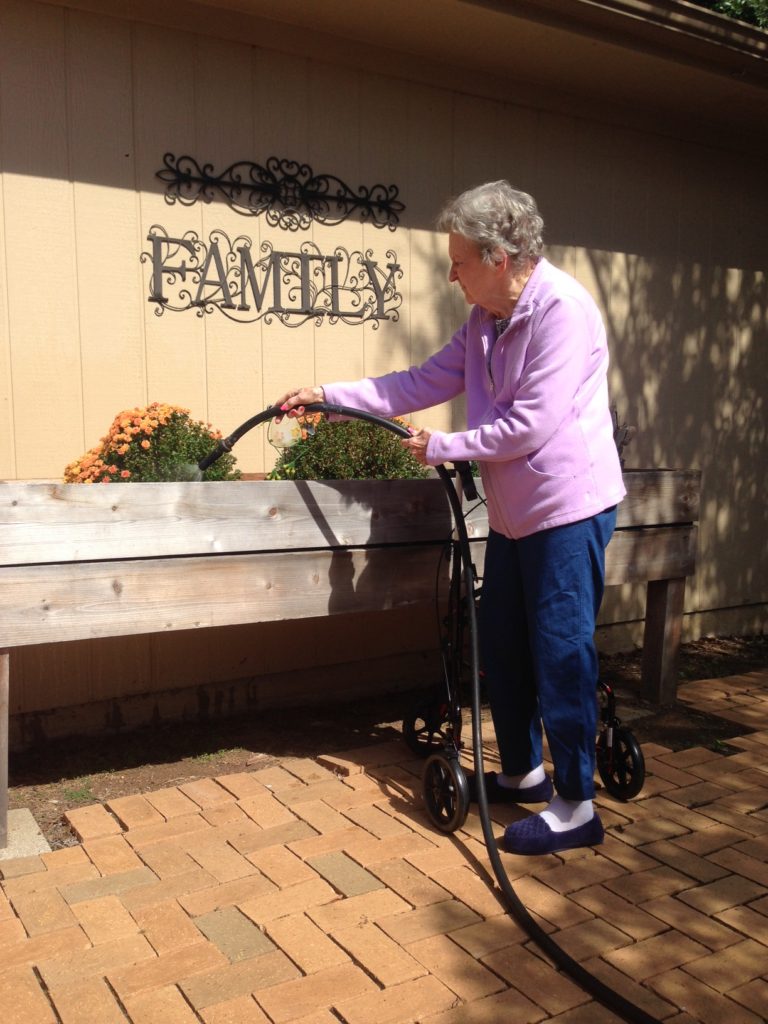 Senior woman watering flowers in community garden.