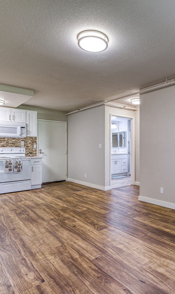 Interior view of a kitchen area in a senior apartment