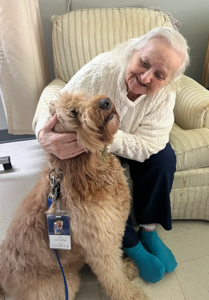 Elderly woman petting a dog in a cozy setting.
