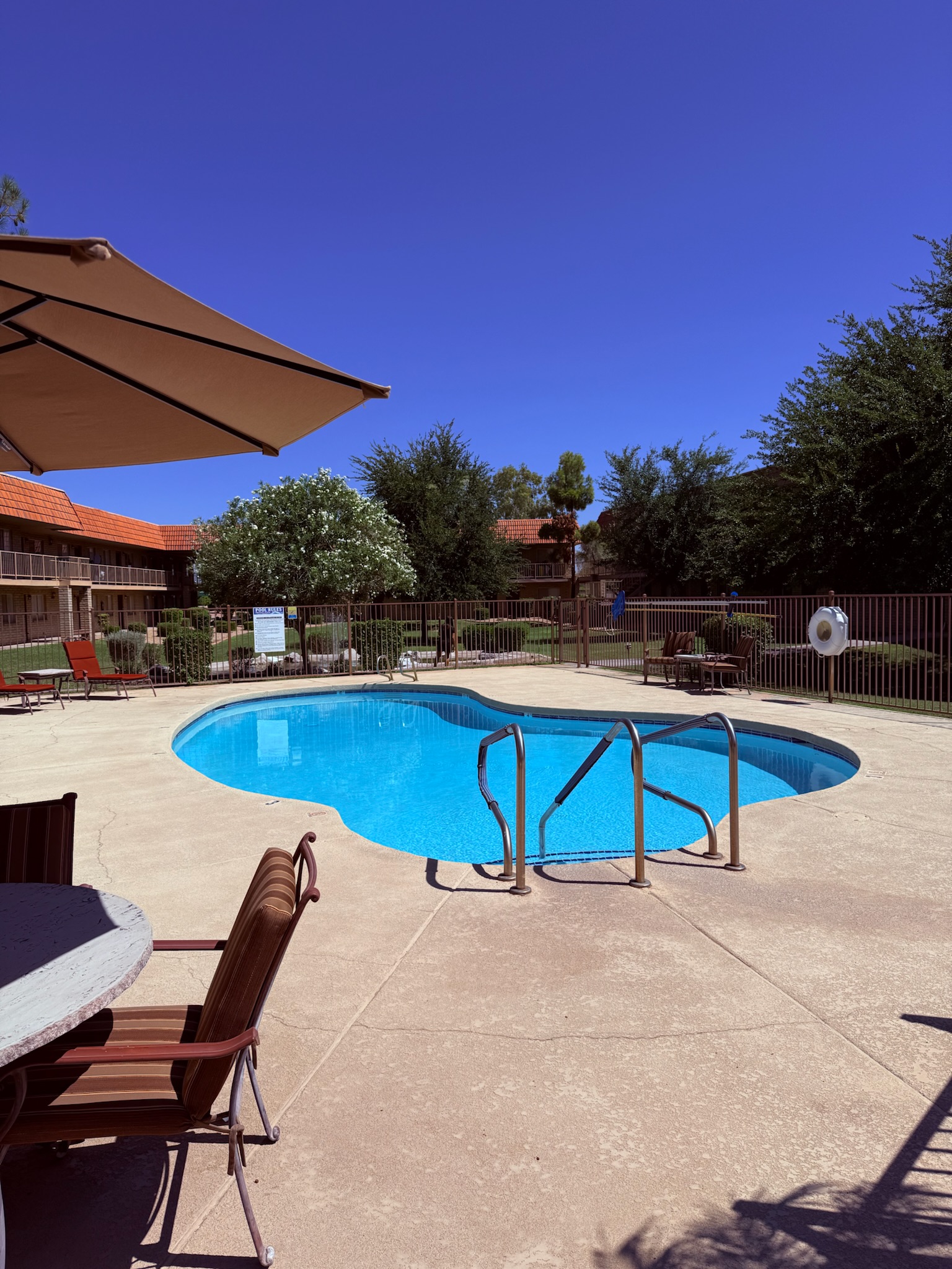 Swimming pool area surrounded by greenery