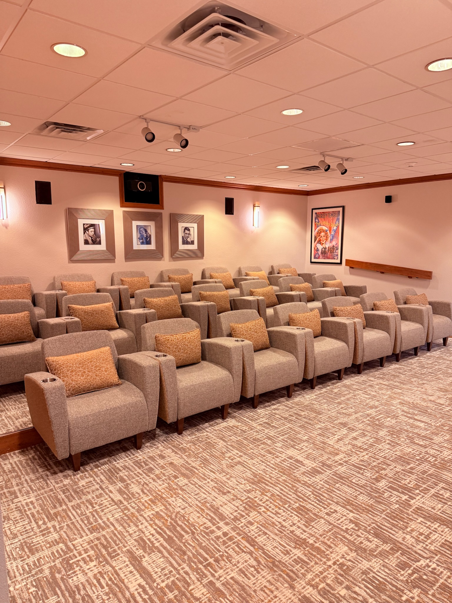 Cozy theater-style lounge with armchairs