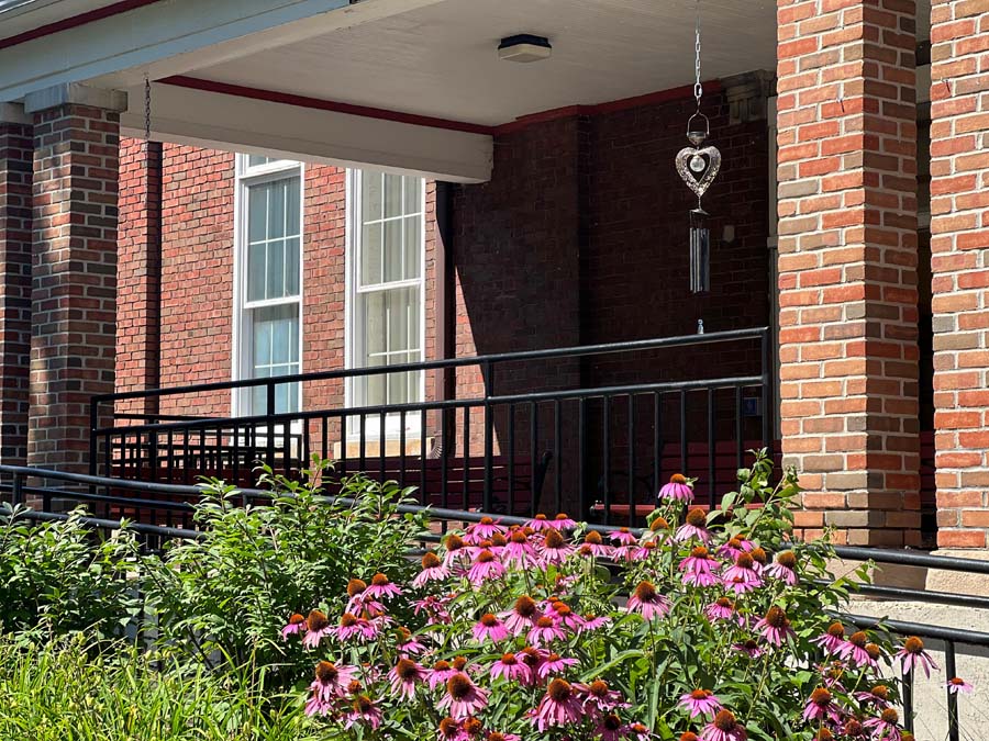 Colorful flowers in front of a building entrance