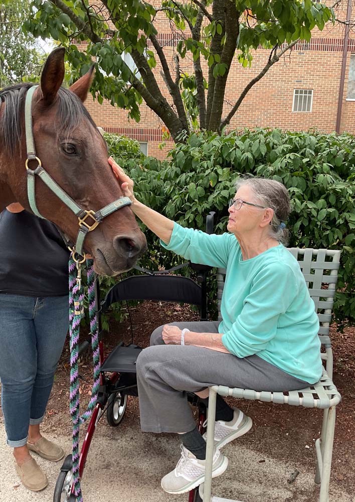 Resident interacting with a horse outdoors