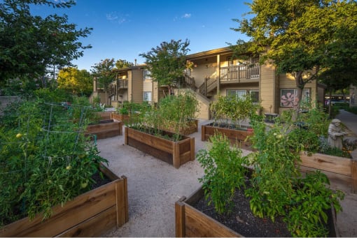Outdoor garden area with raised planters near the apartments