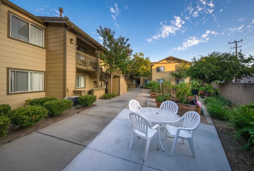 Outdoor seating area with garden beds