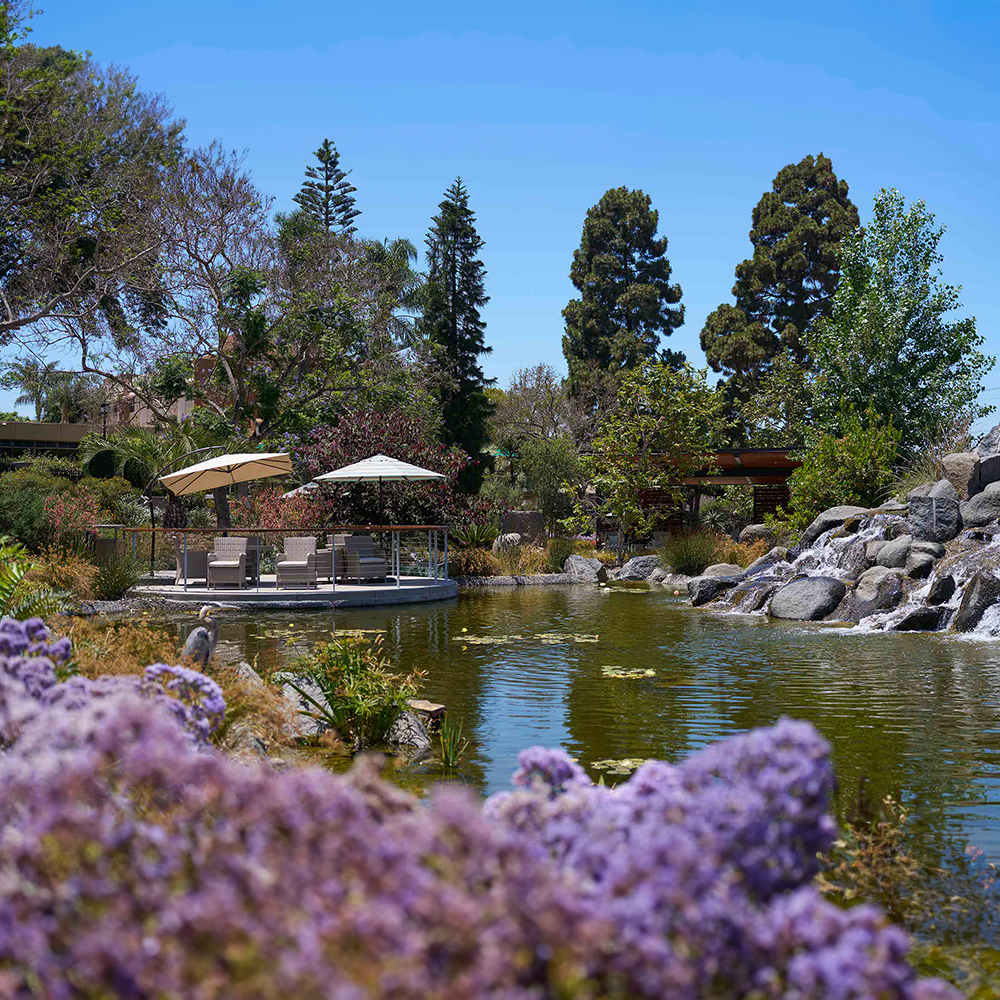 Scenic view of a tranquil outdoor area with water features