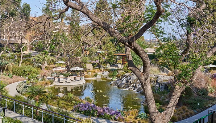 Beautiful landscaped garden with water features