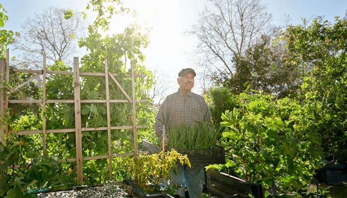 Man gardening in a lush outdoor area