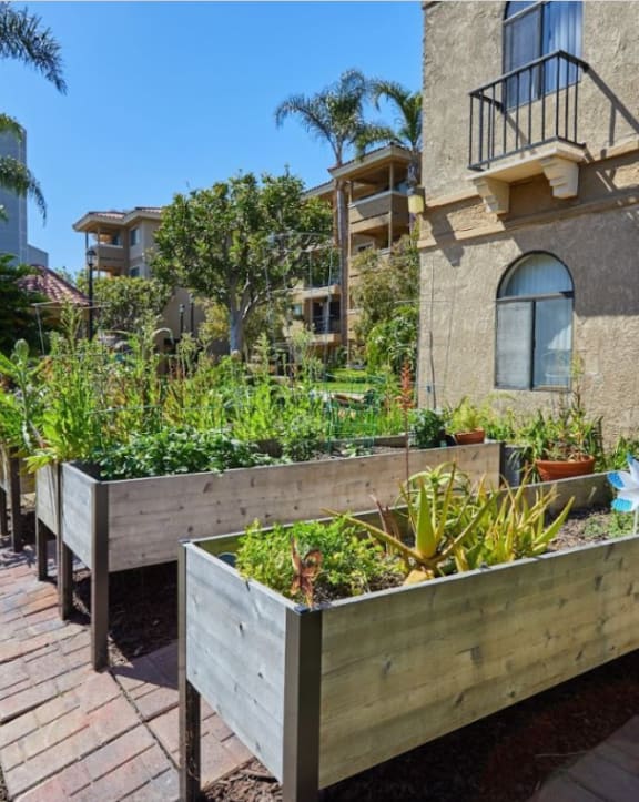 Garden area with raised planters outside the building