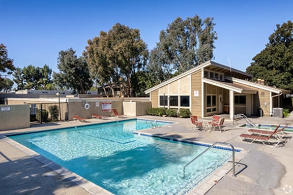 Swimming pool area with loungers and trees surrounding