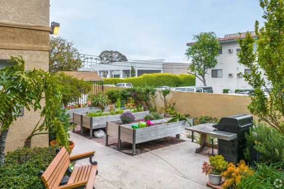 Community garden area with raised beds and seating