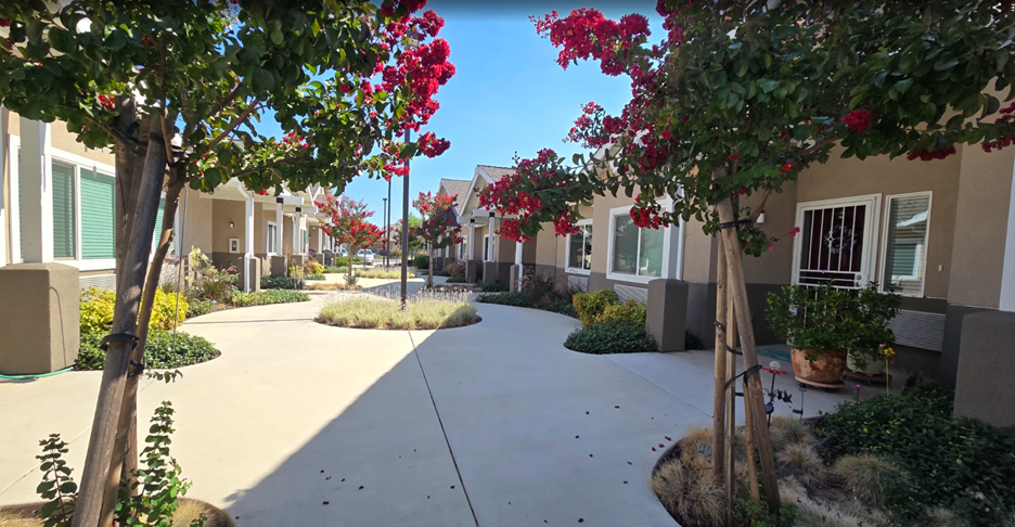 Charming outdoor walkway with blooming flowers