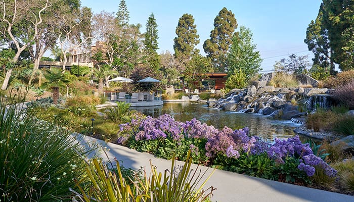 Beautiful outdoor garden with a pond and seating area