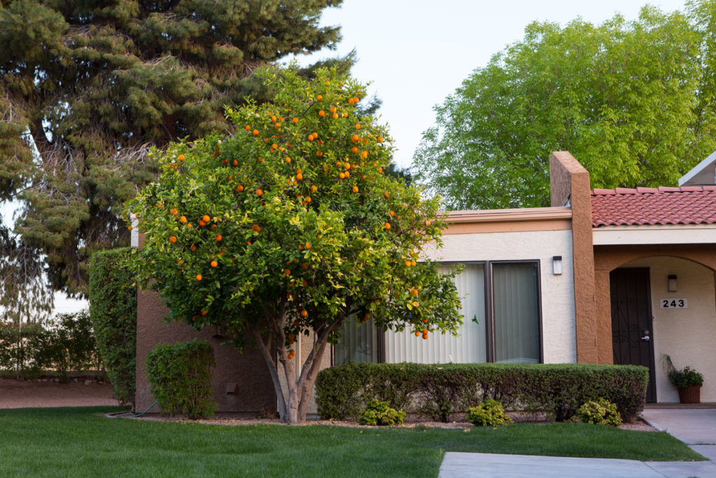 Exterior view of a facility with landscaping