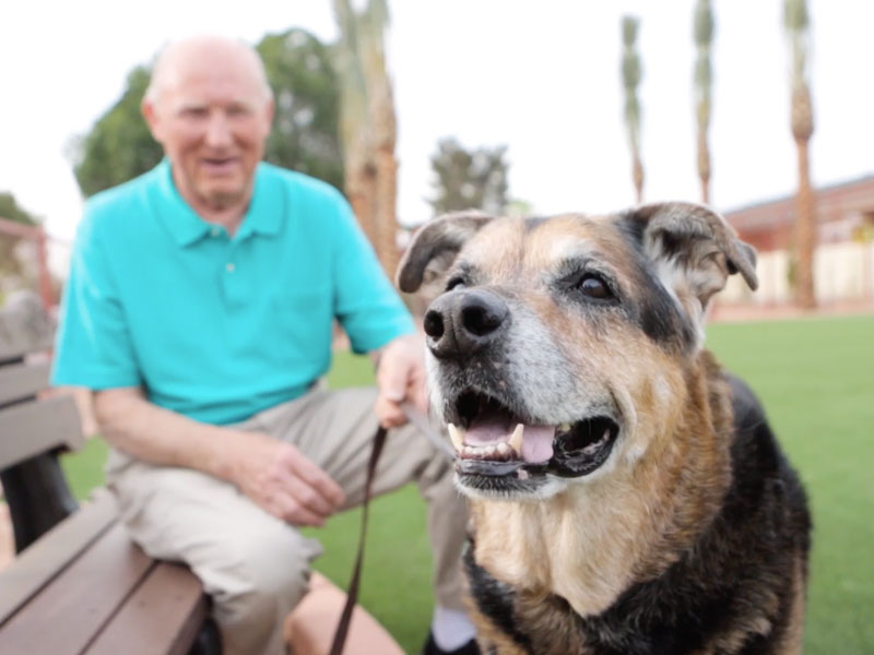 Resident enjoying time with a dog in outdoor space