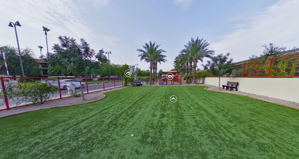 Well-maintained outdoor space with turf and palm trees
