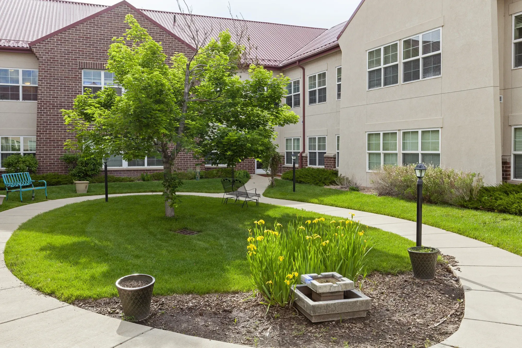 Landscaped courtyard with grass and flowers