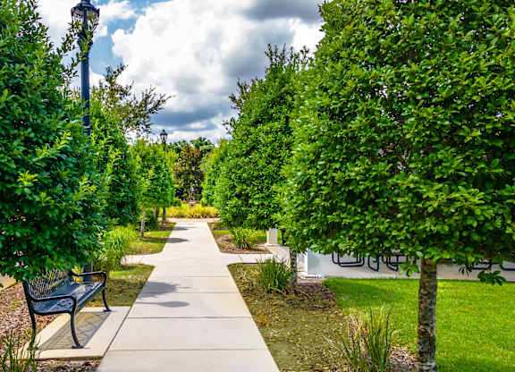 Beautiful path lined with trees and benches
