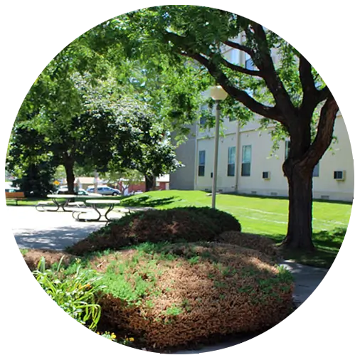 Well-maintained outdoor garden space with trees and seating