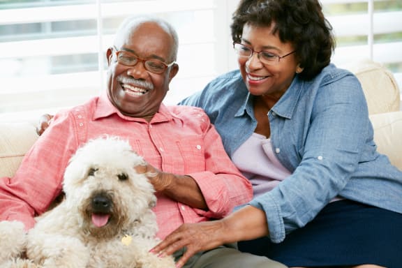 Two seniors smiling with a dog in a cozy setting