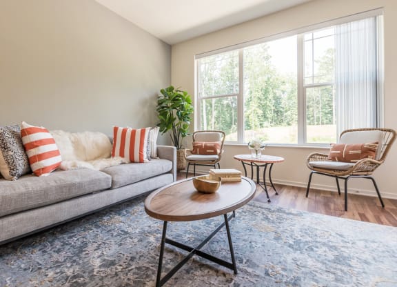 Bright and cozy common area with comfortable seating