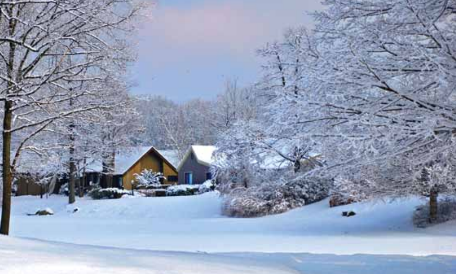 Snow-covered landscape with colorful cottages