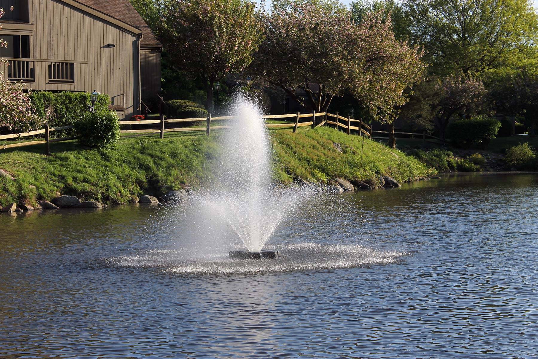 Fountain in a serene outdoor setting