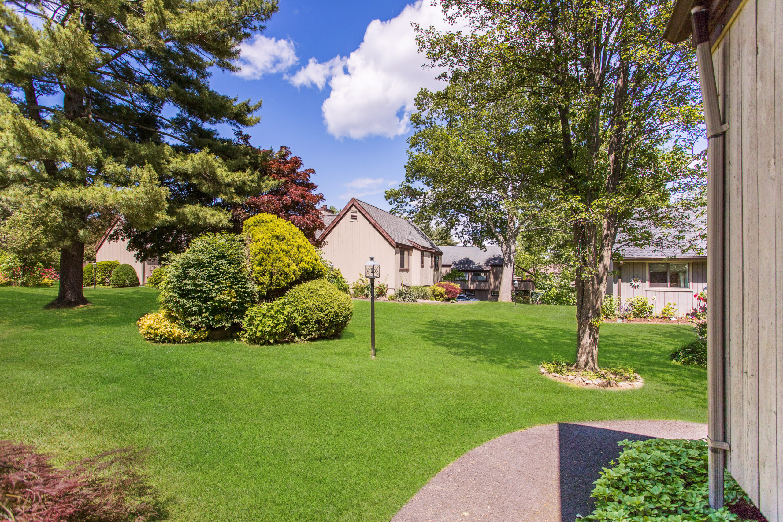 Well-maintained outdoor space with lush greenery