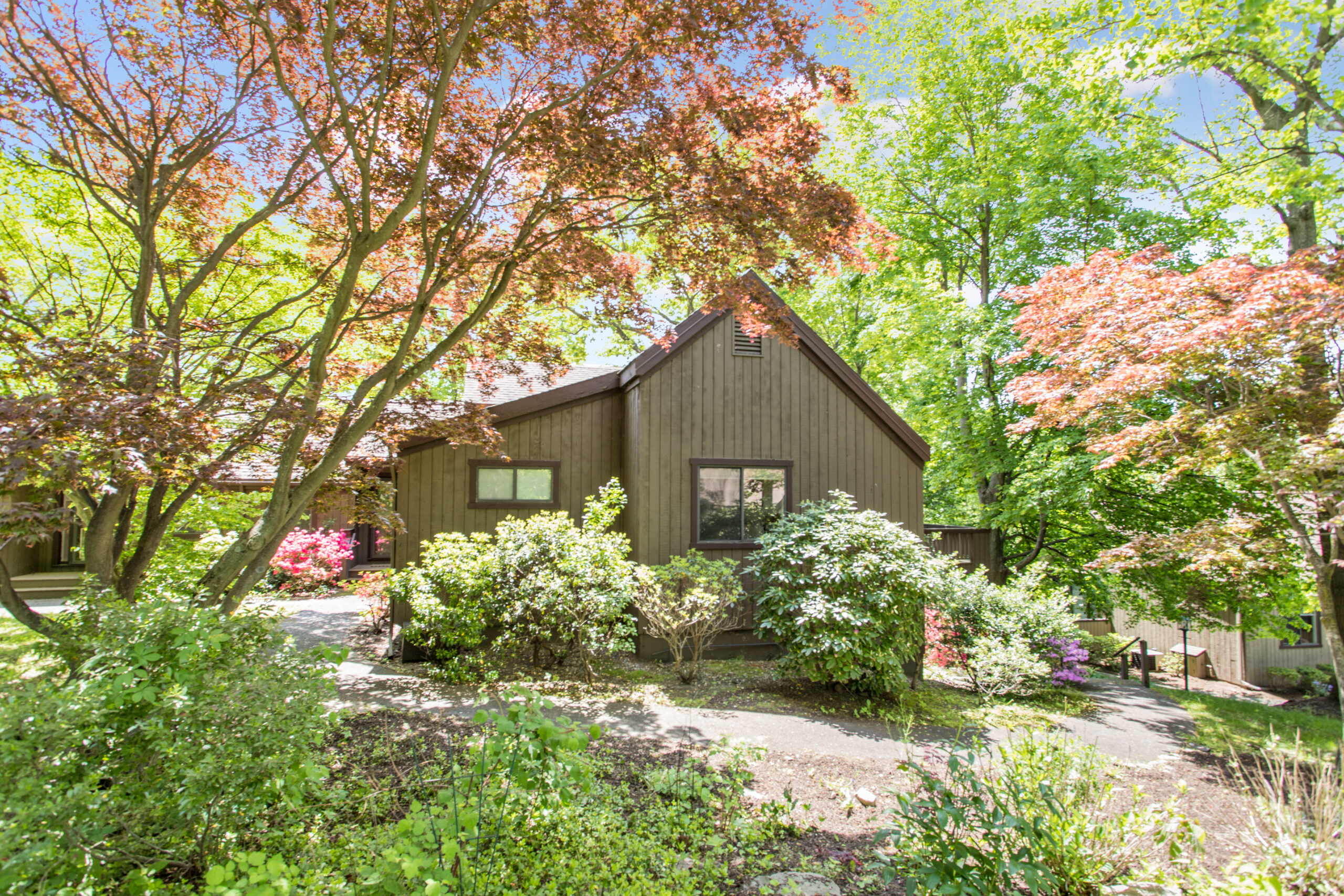 Building exterior surrounded by vibrant foliage.