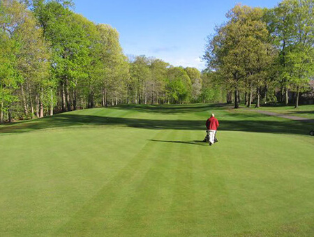 Person walking on a golf course with trees