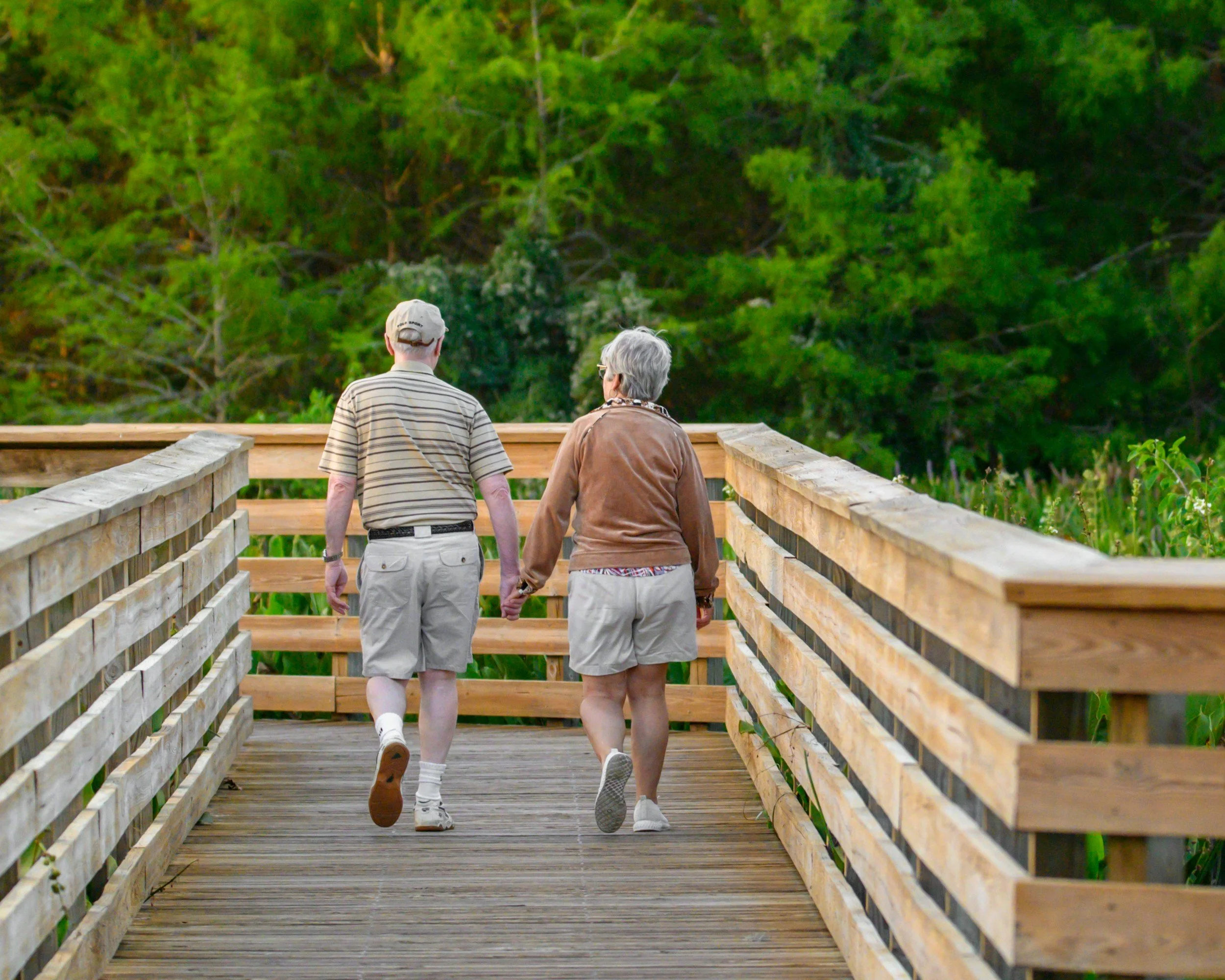 Roseville Elder Services