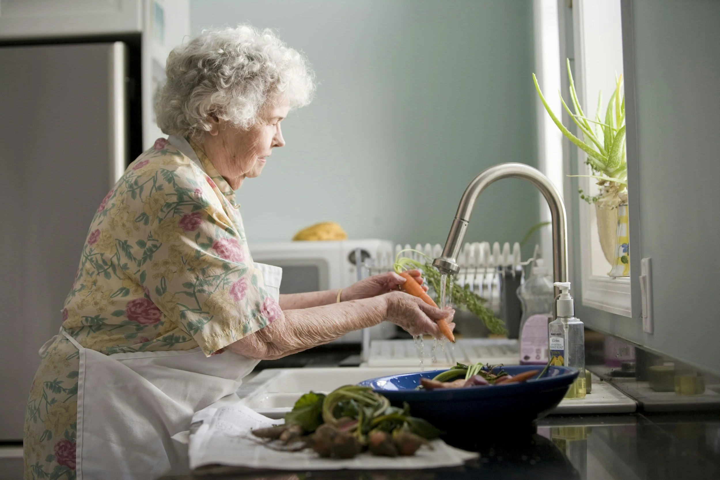 Roseville Elder Services